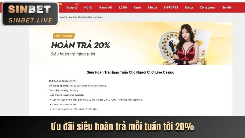Các chương trình khuyến mãi độc quyền khác
